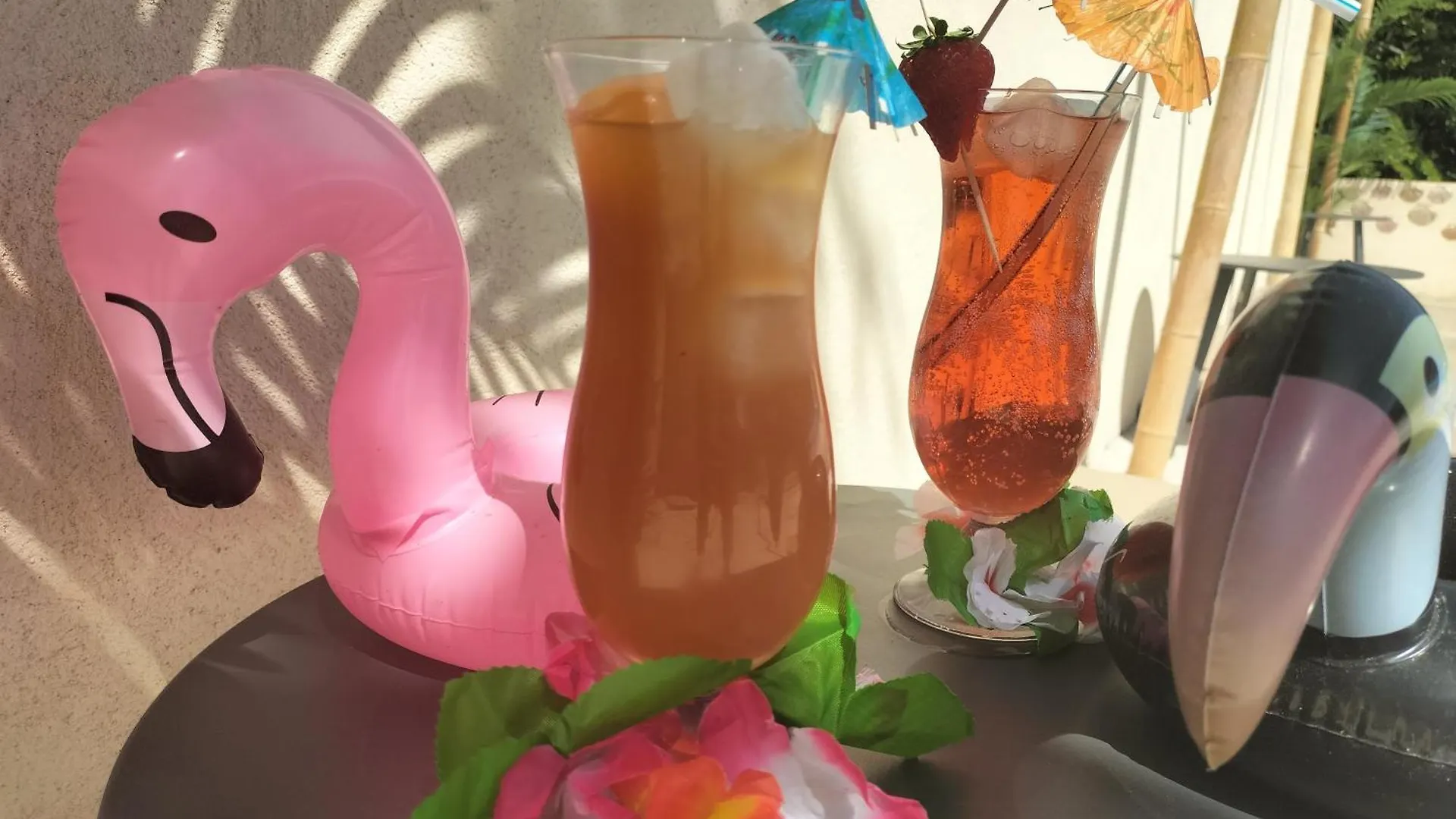 Ile Des Plaisirs, Chambres D'Hotes Naturistes Avec Petit-Dejeuner Tropical Inclus Graulhet