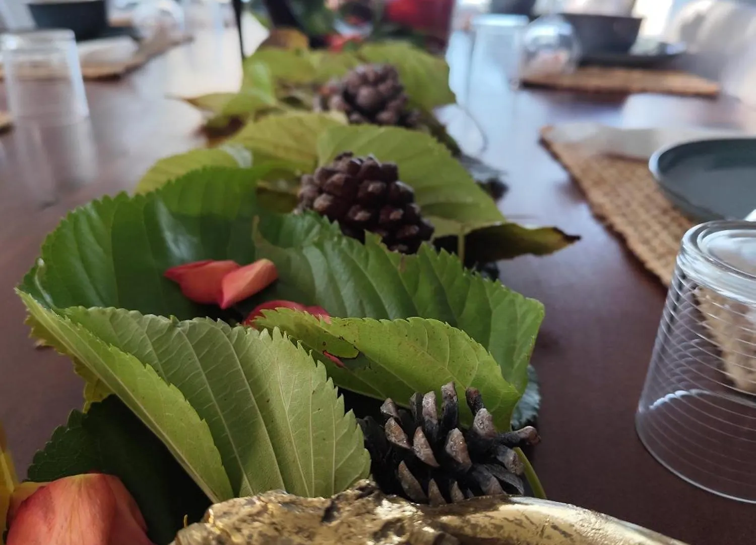 Ile Des Plaisirs, Chambres D'Hotes Naturistes Avec Petit-Dejeuner Tropical Inclus Graulhet 0*,