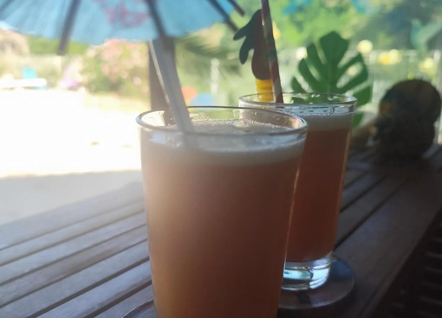 Ile Des Plaisirs, Chambres D'Hotes Naturistes Avec Petit-Dejeuner Tropical Inclus Graulhet 0*,  فرنسا