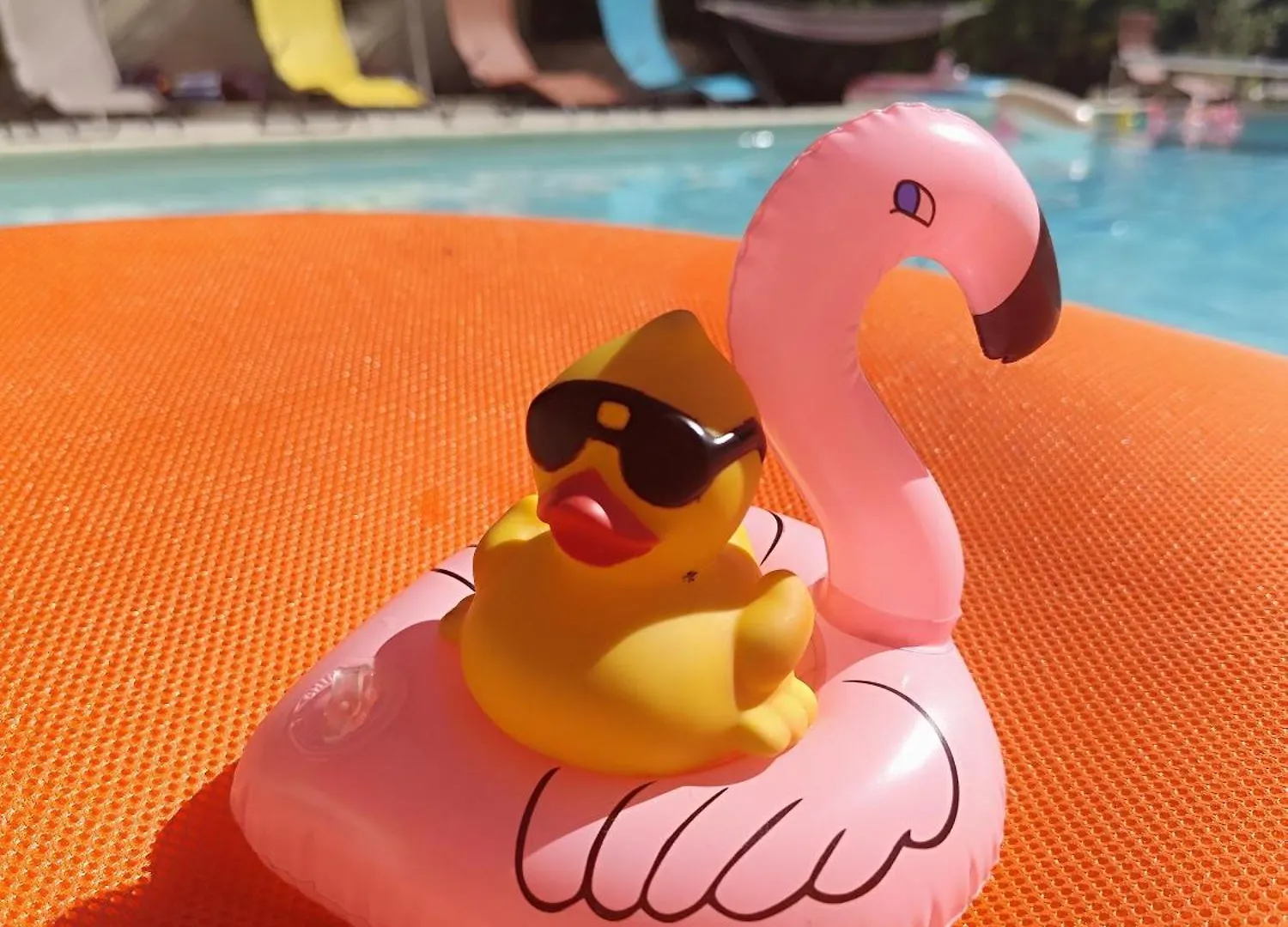 Ile Des Plaisirs, Chambres D'Hotes Naturistes Avec Petit-Dejeuner Tropical Inclus Graulhet